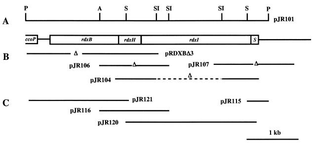 FIG. 1