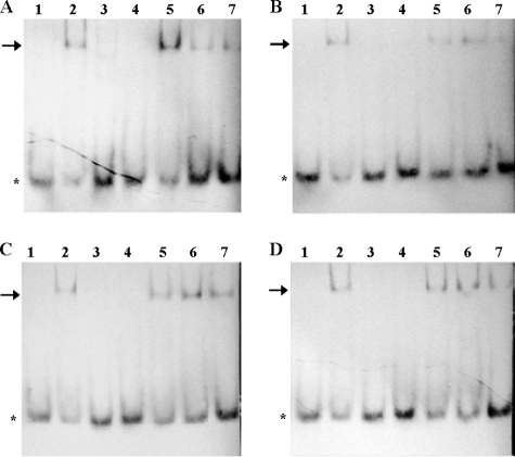 FIG. 4.