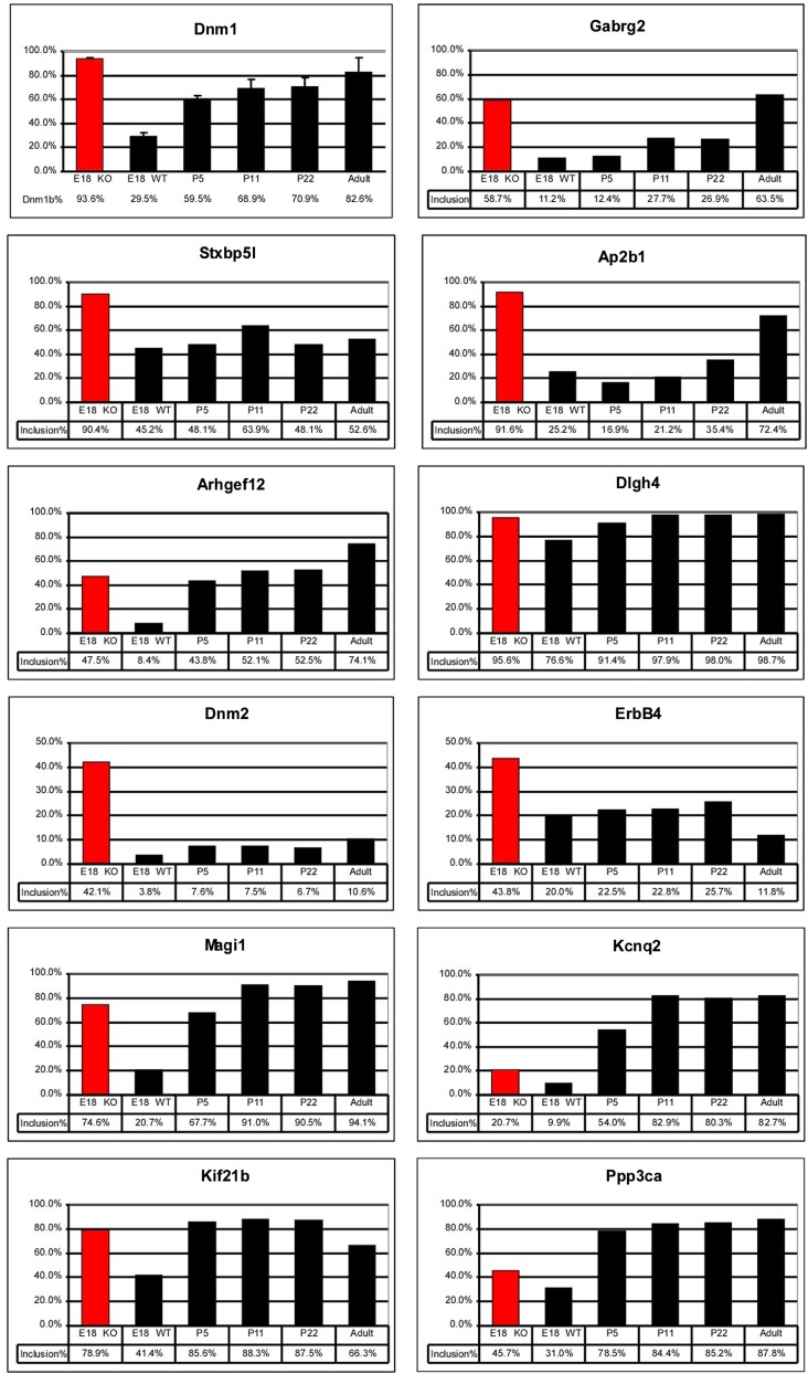 Figure 5—figure supplement 1.