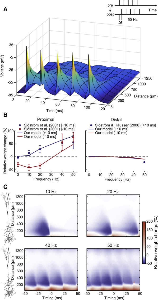 Figure 2