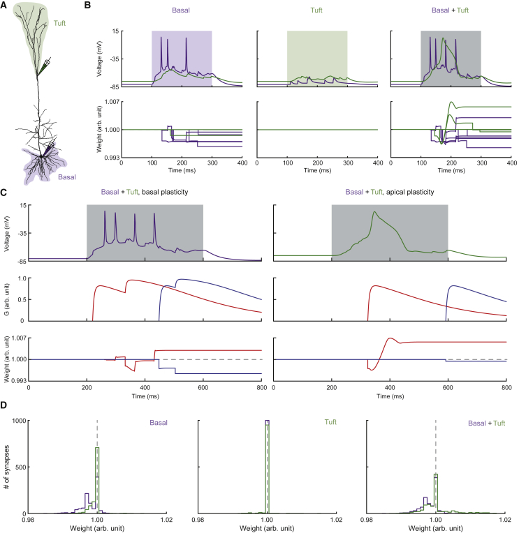 Figure 6