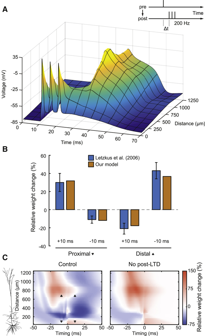 Figure 4