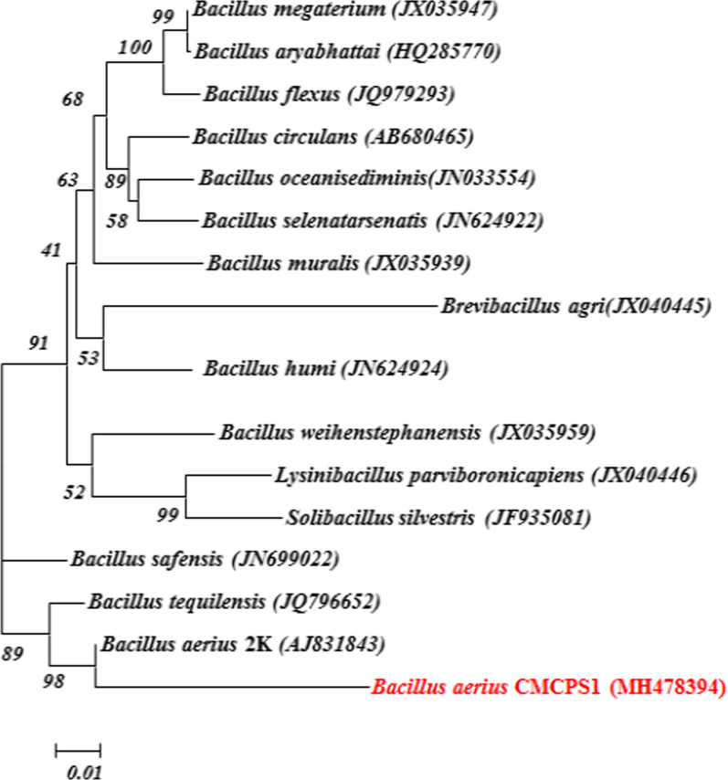 Fig. 2