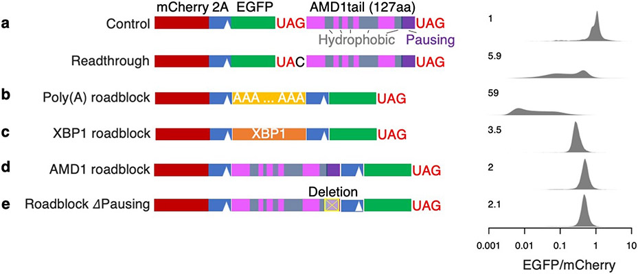 Extended Data Fig. 6 ∣