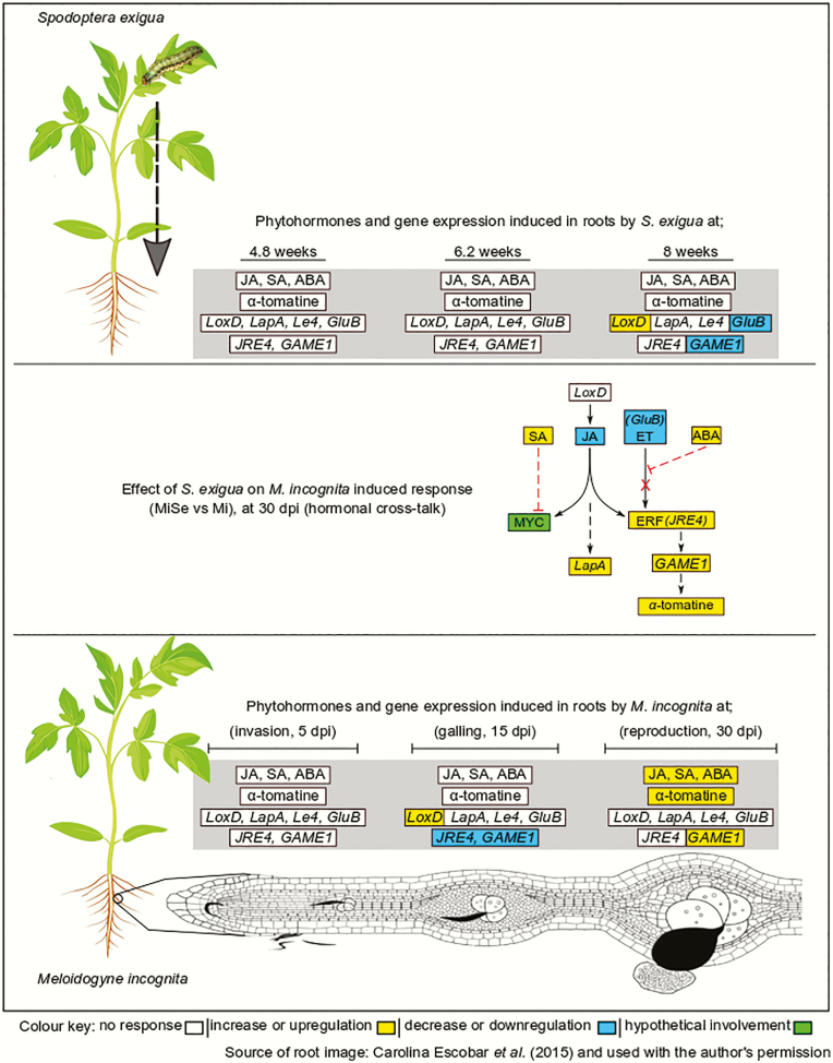 Figure 4.