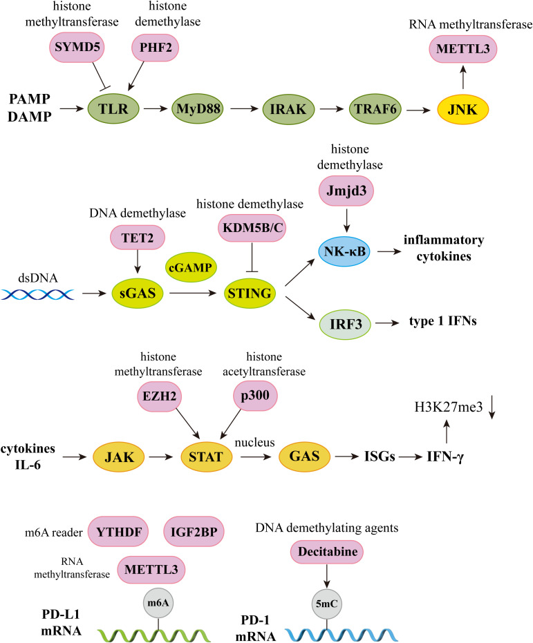 Figure 4