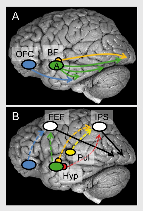 Figure 3.