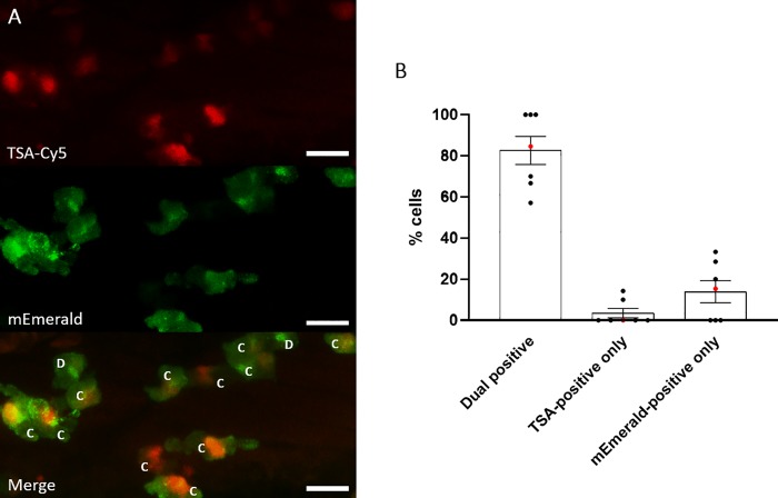 Fig 3