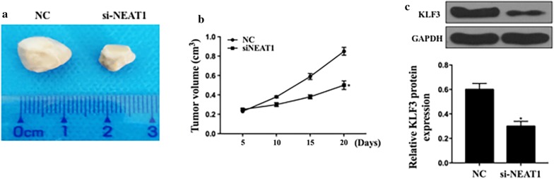 Fig. 7