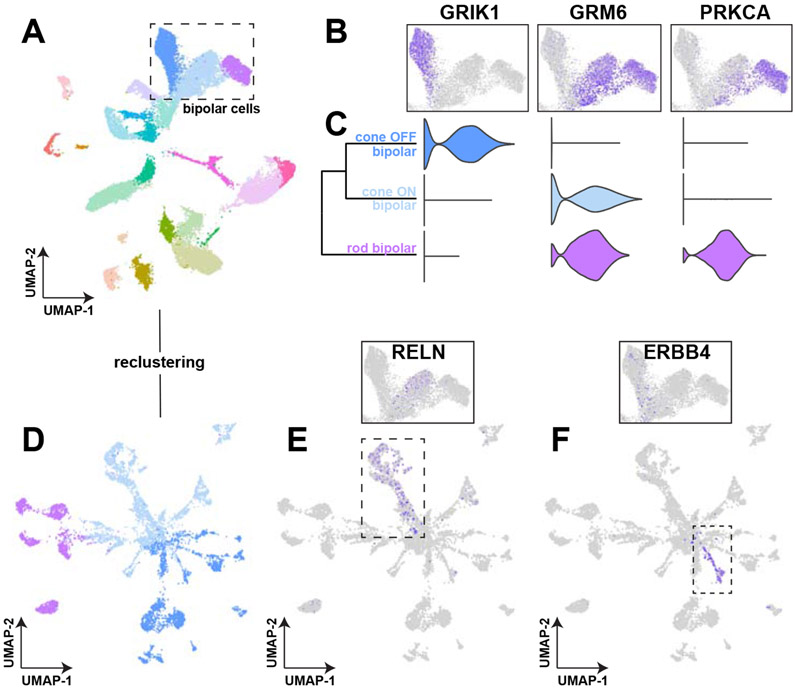 Figure 4: