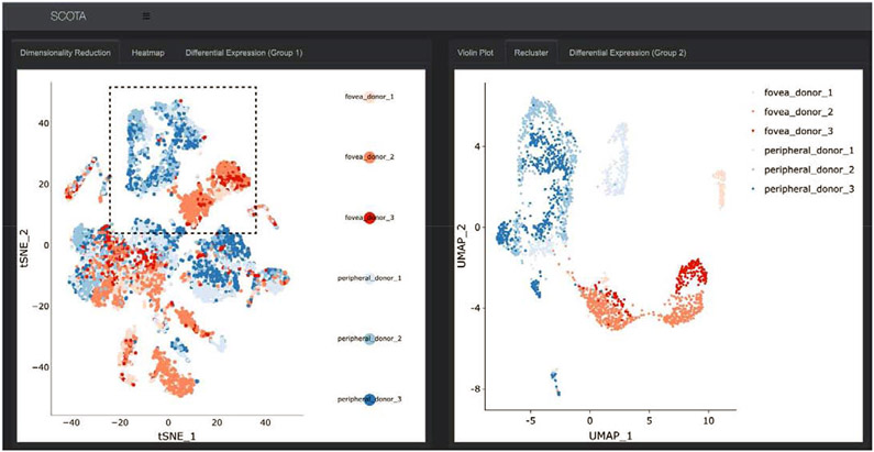 Figure 2: