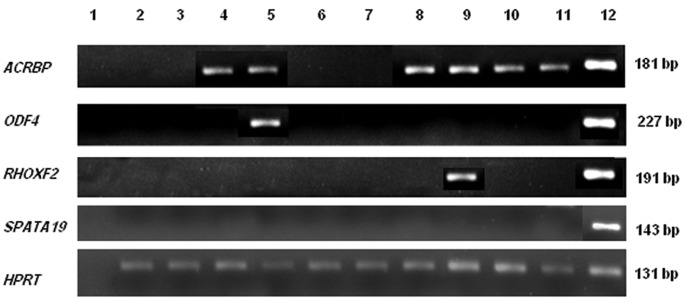 Fig.3