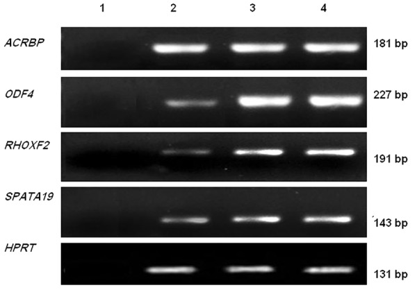 Fig.1