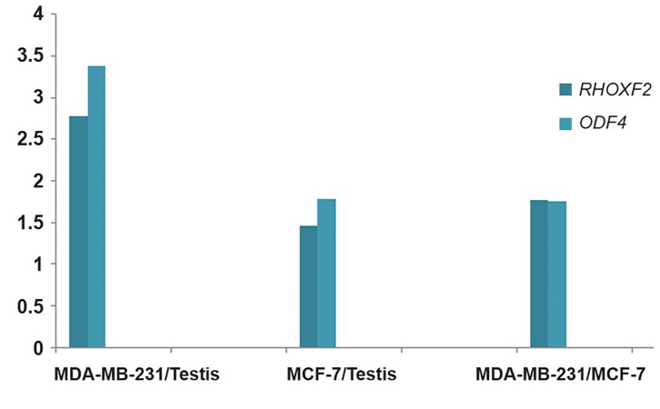 Fig.2