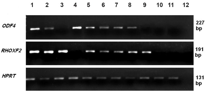 Fig.4