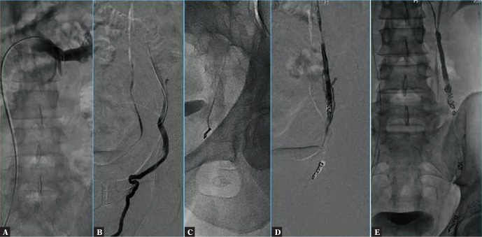 Fig. 7.