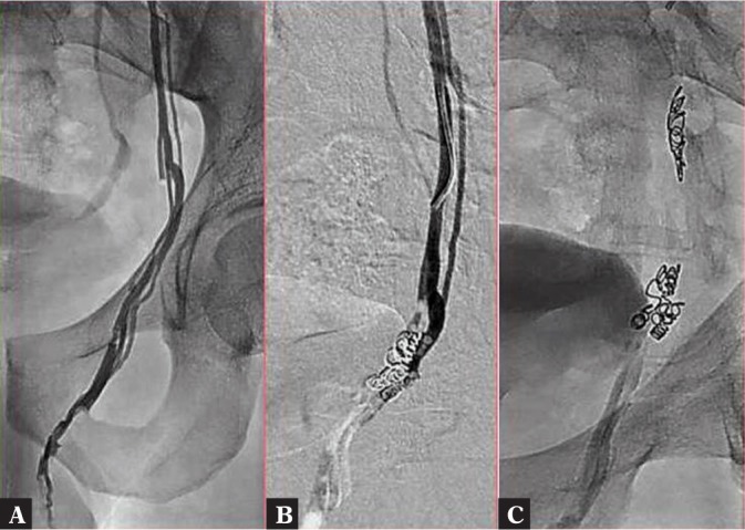 Fig. 8.