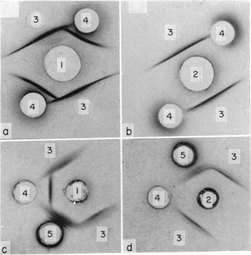 FIG. 9