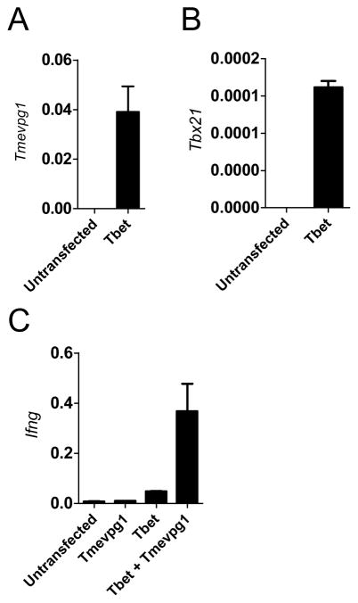 FIGURE 4