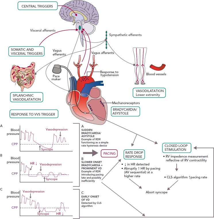 Figure 4: