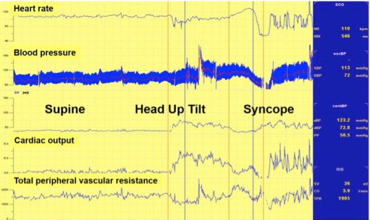 Figure 2: