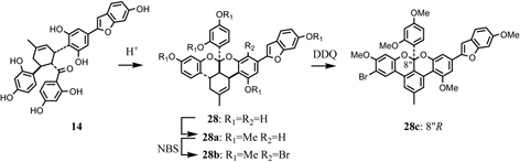 Fig. 10