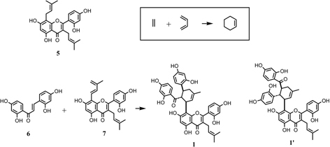 Fig. 1