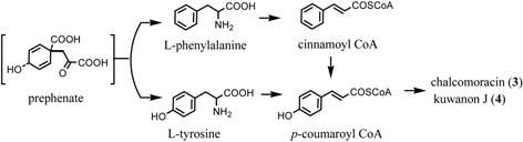 Fig. 19