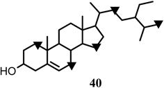 Fig. 21