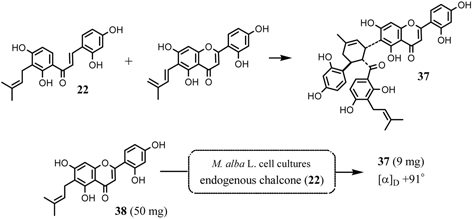 Fig. 16