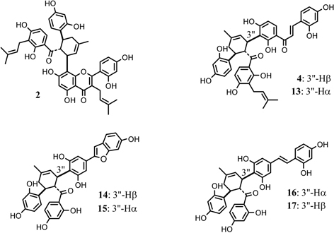 Fig. 4