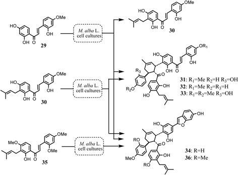 Fig. 15