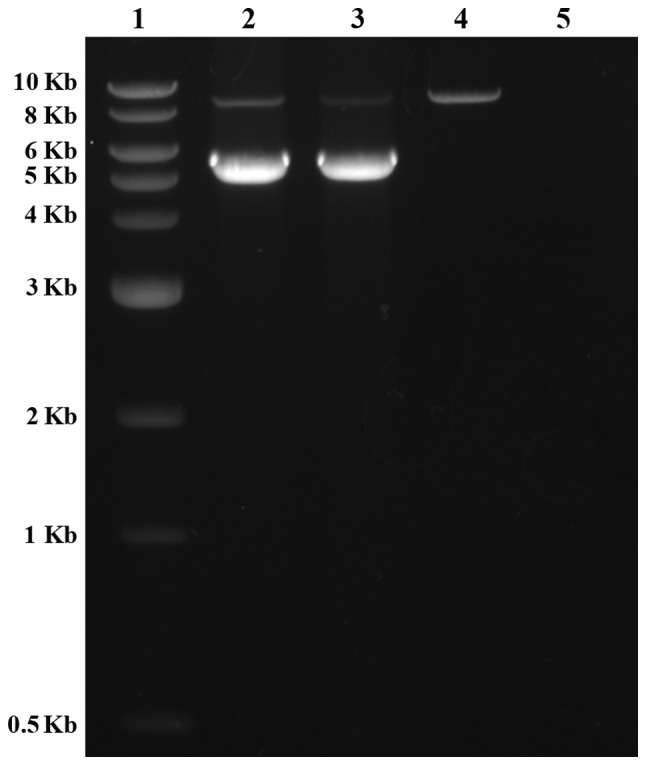 Figure 4.