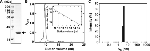 Figure 3.