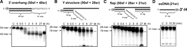 Figure 6.