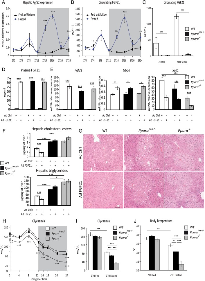 Figure 5