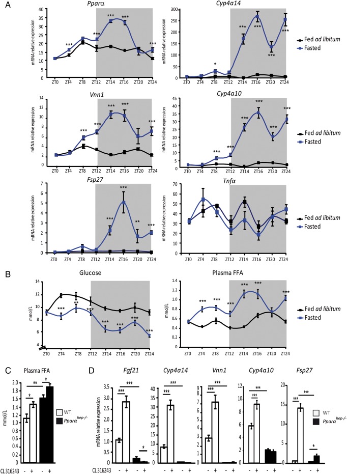 Figure 6