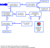 Flow chart 5