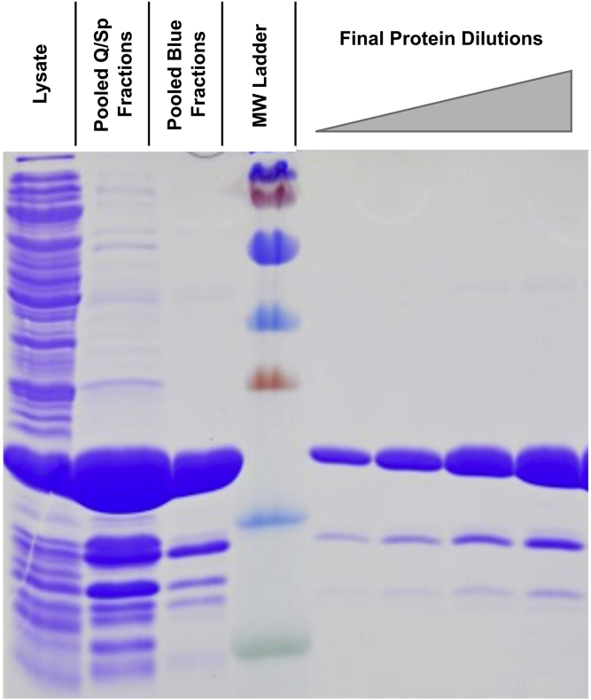 Figure 1