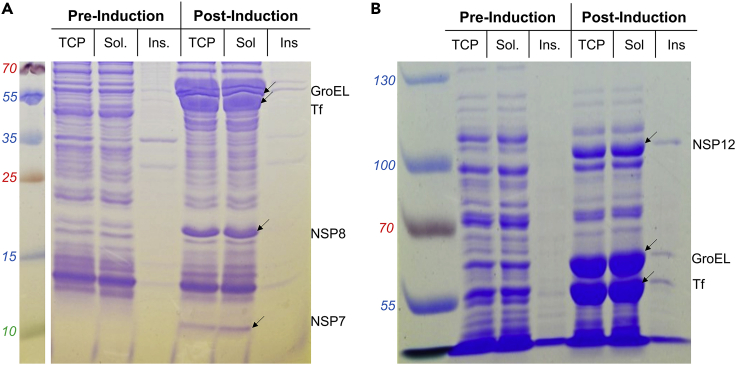 Figure 2