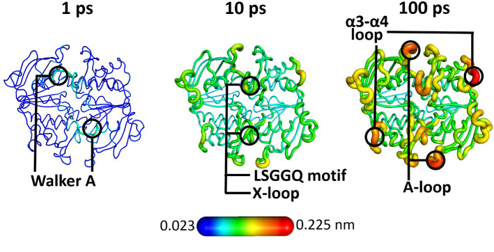 Fig. 3