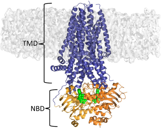 Fig. 2