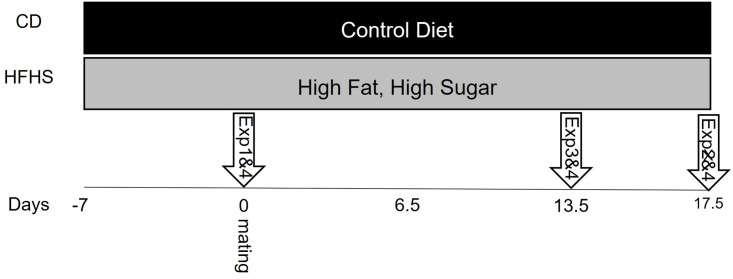 Fig 1