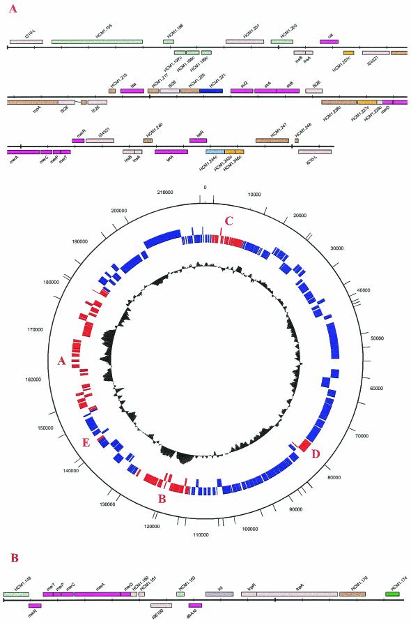 FIG.1.