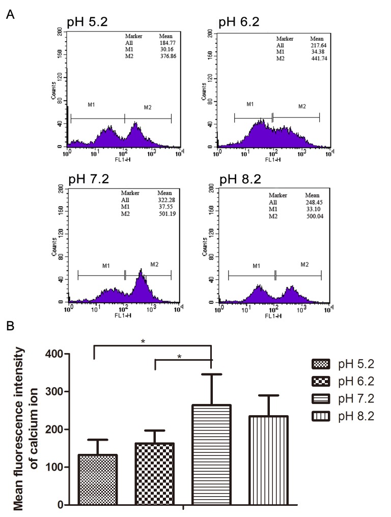 Fig 6