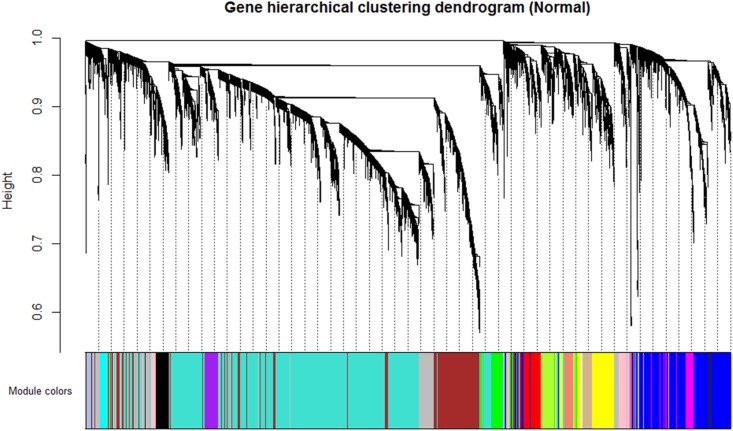 FIGURE 3