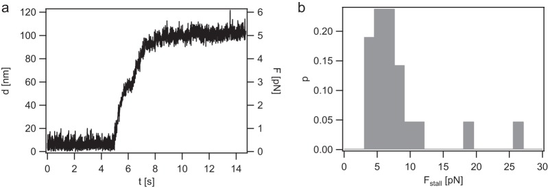 FIG 2