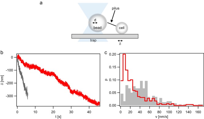 FIG 1