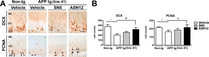 FIGURE 10.