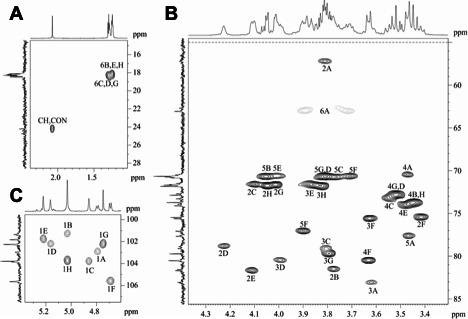 NMR spectra with three sections display 1D spectrum focusing on chemical shifts, 2D NMR spectrum with cross-peaks indicating correlations between proton shifts, and 1D spectrum focusing on a different region of chemical shifts.